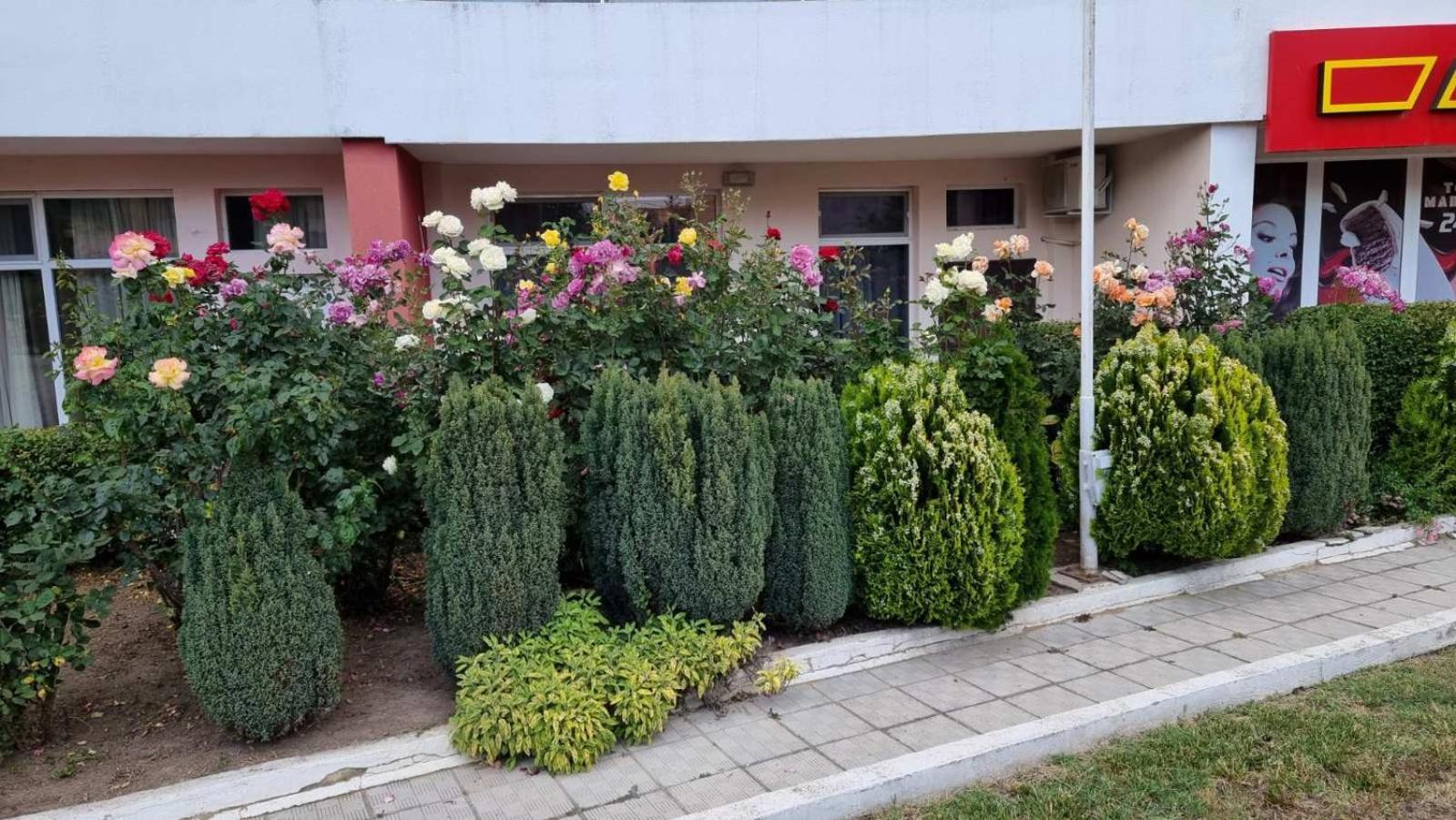 Luxurious Studios Nani Кранево Екстер'єр фото