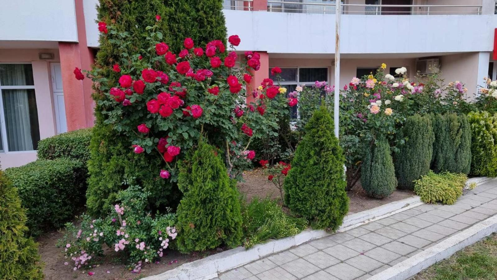Luxurious Studios Nani Кранево Екстер'єр фото